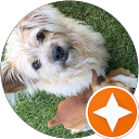 Tee Pham profile picture